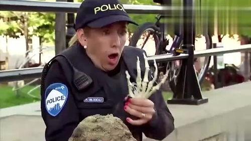 食人蚁搞笑视频,蚂蚁王国里的爆笑奇遇记