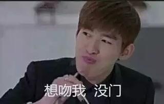 塘主张翰表情包,网络红人的魅力与影响力